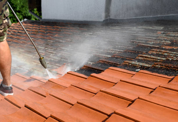 Best Residential Pressure Washing Services  in Berea, KY