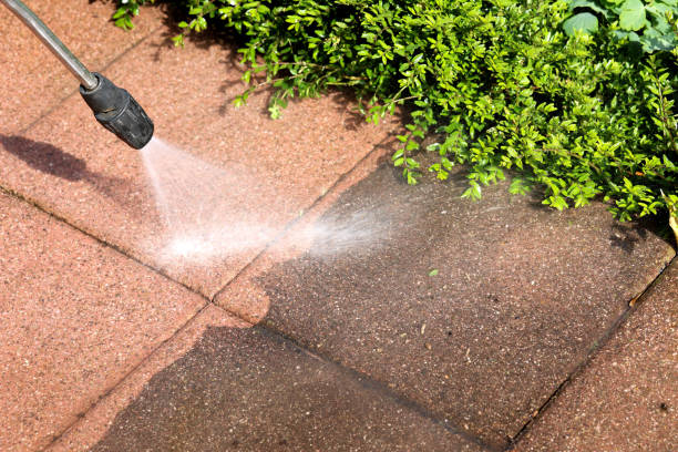 Best Best Pressure Washing Companies  in Berea, KY